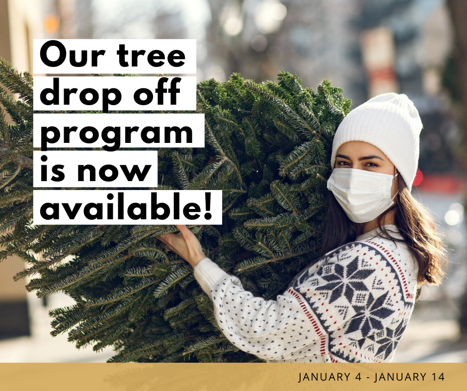 Tree Drop Off