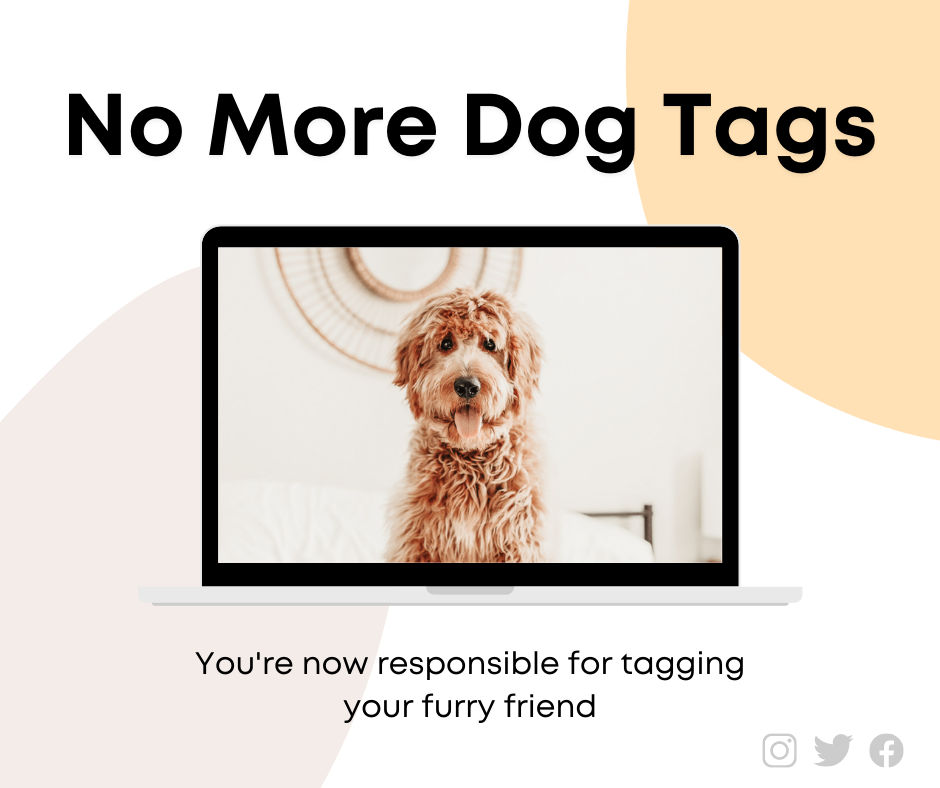 No More Dog Tags