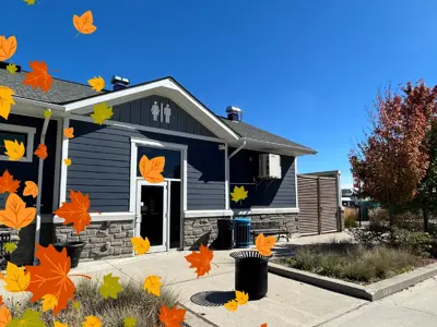 Fall-in-Central-Elgin.jpg