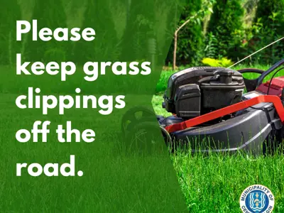 Grass-clippings.jpg